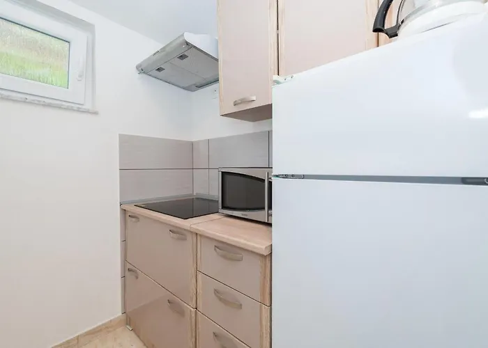 Apartment Banic By Interhome Vir